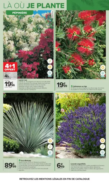Carrefour France offers from 14 to 27 April 2026 GARDEN PLANTING AND FURNITURE - Page 8