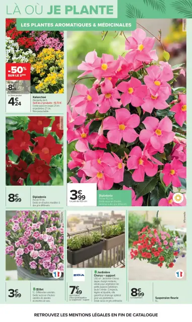 Carrefour France offers from 14 to 27 April 2026 GARDEN PLANTING AND FURNITURE - Page 4