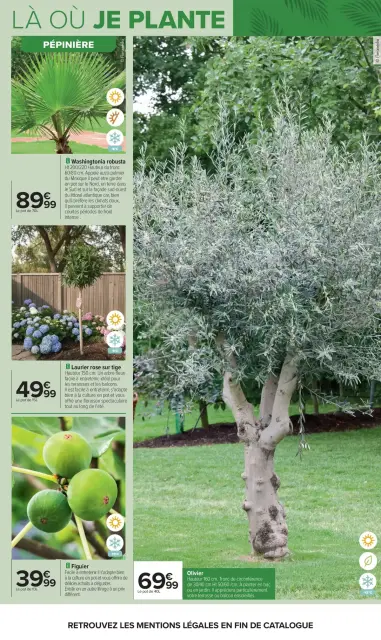 Carrefour France offers from 14 to 27 April 2026 GARDEN PLANTING AND FURNITURE - Page 9
