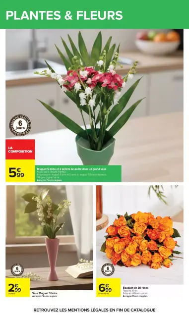 Carrefour France offers from 28 April to 11 May 2026 PICNIC - Page 58