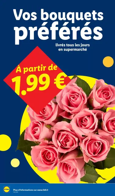 Lidl France offers from 16 to 22 April 2026 Weekly Special Offers - Page 28