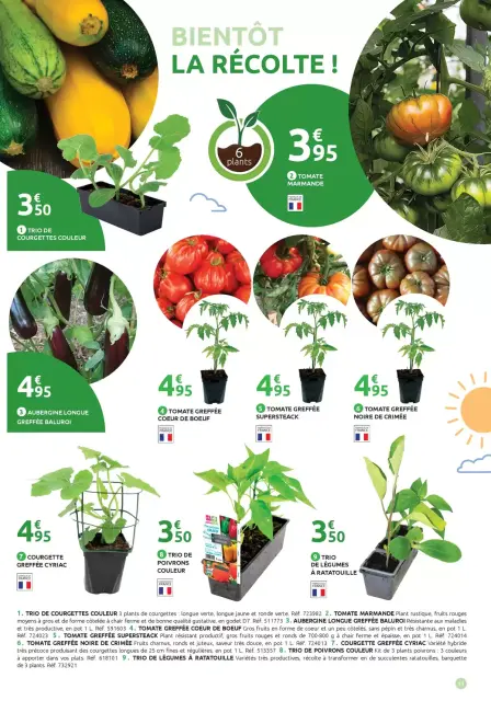 Mr.Bricolage France offers from 9 to 26 April 2026 BACK TO GARDEN SPECIAL OFFERS - Page 11