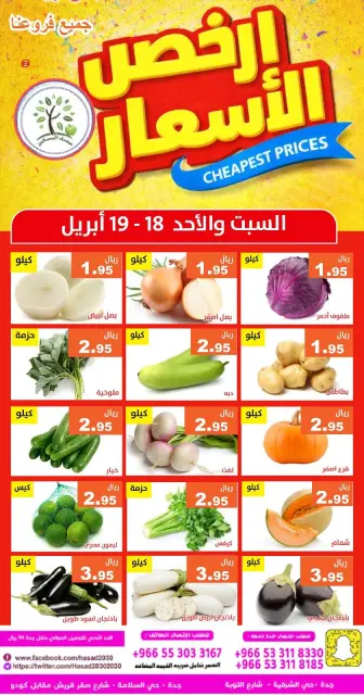 Hasad Albasatin Saudi Arabia offers from 1 to 2 Dhuʻl-Qiʻdah 1447 AH (18 – 19 April 2026) Low Price - Page 2