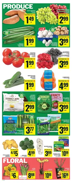 Food Basics Canada offers from 16 to 22 April 2026 CRAZY SALE - Page 6