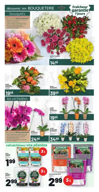 Metro supermarket Canada offers from 16 to 22 April 2026 Top offers for smart savers - Page 22
