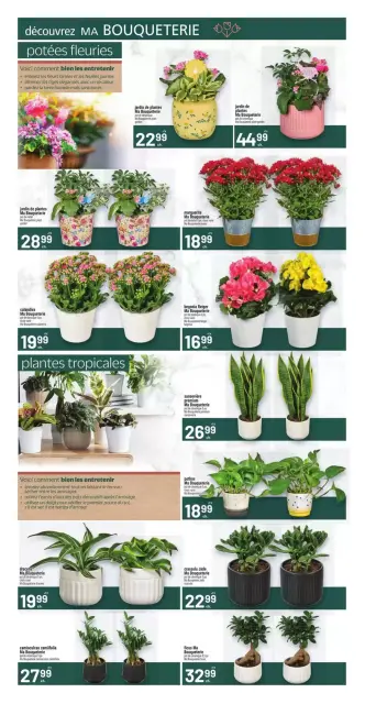 Metro supermarket Canada offers from 16 to 22 April 2026 Top offers for smart savers - Page 21