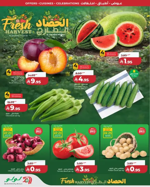 Offres Lulu Central Region de 5 à 11 Dhuʻl-Qiʻdah 1447 AH (22 au 28 avril 2026) Offres du monde de la gastronomie - Page 3