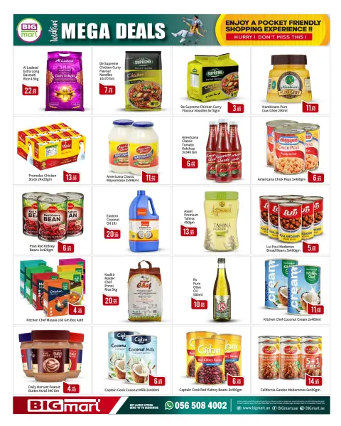 BIGmart offers in Abu Dhabi from 23 to 26 April 2026 MEGA SALE - Page 10