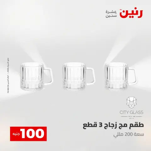 Raneen offers from 28 to 29 April 2026 The 100 EGP Offer - Page 14