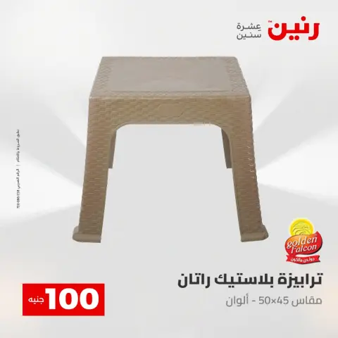 Raneen offers from 28 to 29 April 2026 The 100 EGP Offer - Page 56