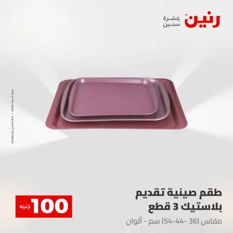 Raneen offers from 28 to 29 April 2026 The 100 EGP Offer - Page 66
