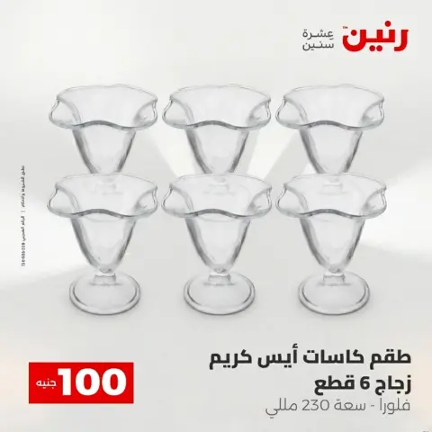 Raneen offers from 28 to 29 April 2026 The 100 EGP Offer - Page 7