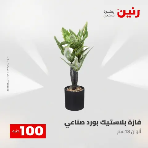 Raneen offers from 28 to 29 April 2026 The 100 EGP Offer - Page 46