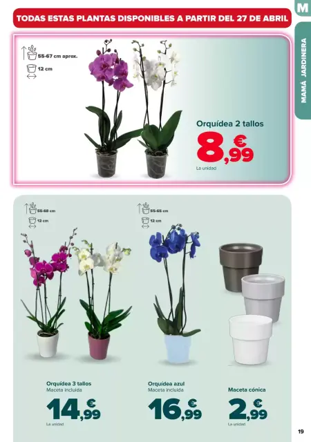 Ofertas de Carrefour España de 23 abril a 3 mayo 2026 DÍA DE LA MADRE - Página 19