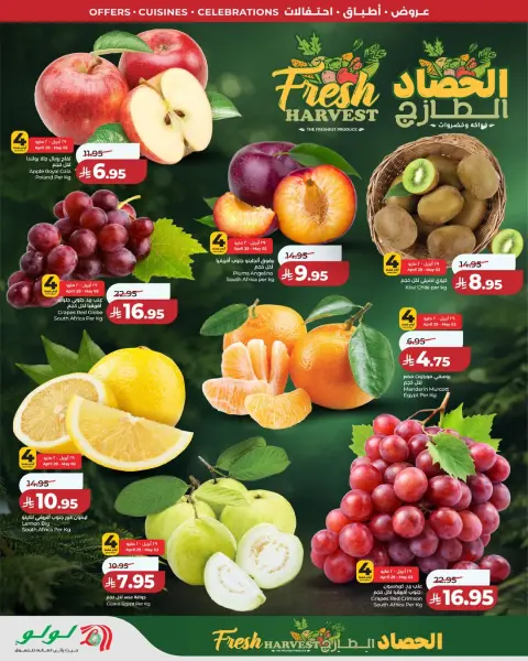 Offres Lulu Central Region de 12 à 18 Dhuʻl-Qiʻdah 1447 AH (29 avril au 5 mai 2026) Offres du monde de la gastronomie - Page 2