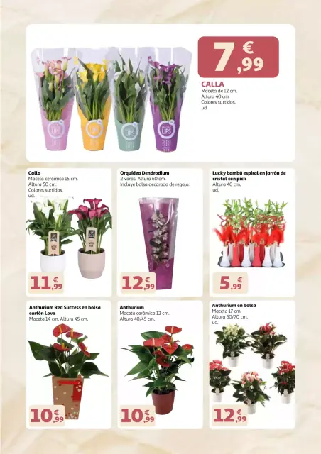 Ofertas de Alcampo Hipermercados España de 22 abril a 3 mayo 2026 Madres que se lo merecen todo - Página 3