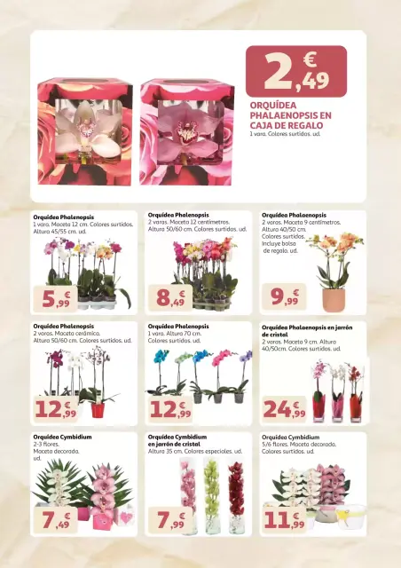 Ofertas de Alcampo Hipermercados España de 22 abril a 3 mayo 2026 Madres que se lo merecen todo - Página 2