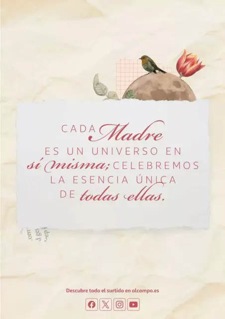 Ofertas de Alcampo Hipermercados España de 22 abril a 3 mayo 2026 Madres que se lo merecen todo - Página 29