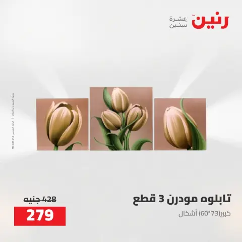 عروض رنين من ٥ حتى ٦ مايو ٢٠٢٦ عروض هدايا وديكورات - صفحة 7