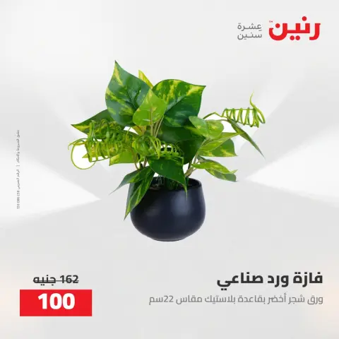عروض رنين من ٥ حتى ٦ مايو ٢٠٢٦ عروض هدايا وديكورات - صفحة 61