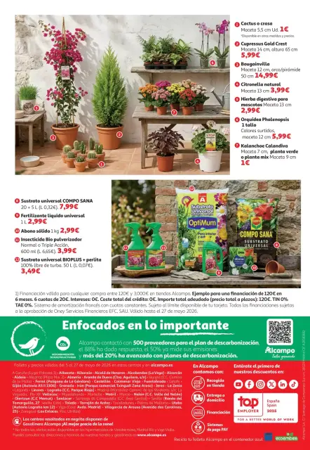 Ofertas de Alcampo Hipermercados España de 5 a 27 mayo 2026 Ofertas Aire Libre - Página 16