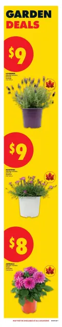No Frills Canada offers from 29 April to 13 May 2026 DEALS FOR DAYS EVENT - Page 5