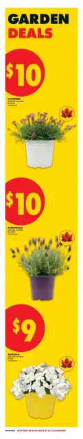 No Frills Canada offers from 30 April to 6 May 2026 best offers - Page 4