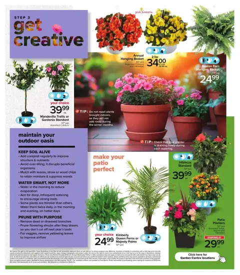 Metro supermarket Canada offers from 23 April to 27 May 2026 Get Gardening Deals - Page 4