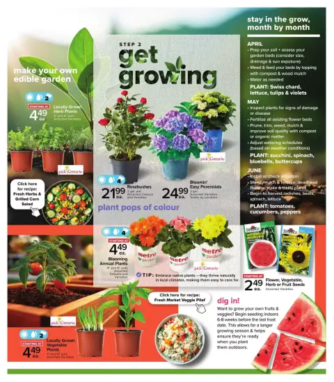 Metro supermarket Canada offers from 23 April to 27 May 2026 Get Gardening Deals - Page 3