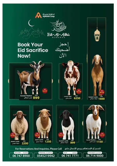 Ajman Coop offers from 7 to 13 May 2026 Welcome Summer Deals - Page 5