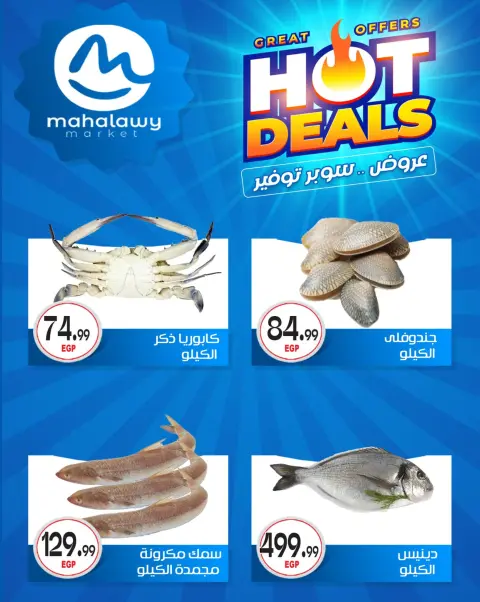 Ofertas de El mhallawy Sons de 7 a 12 mayo 2026 Las ofertas más fuertes - Página 27