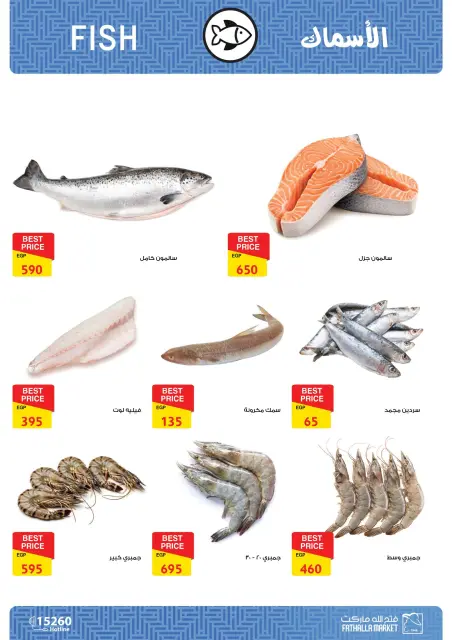 Fathalla Market offers in Badr from 14 to 31 May 2026 Opening Deals - Page 5