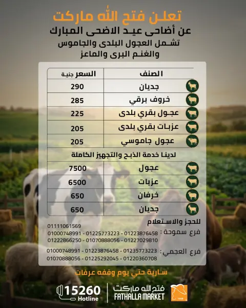 Fathalla Market offers from 12 to 26 May 2026 Eid Sacrifices - Page 1