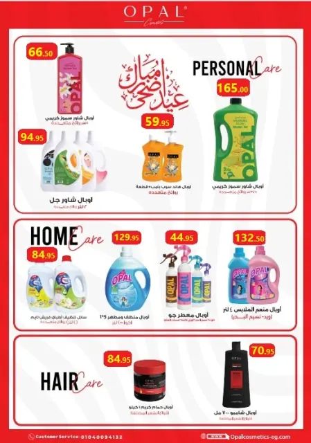 El Mahlawy market offers from 16 to 27 May 2026 Eid Adha Mubarak Offers - Page 49