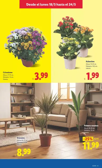 Offres Lidl Espagne de 18 à 24 mai 2026 Offres hebdomadaires - Page 49