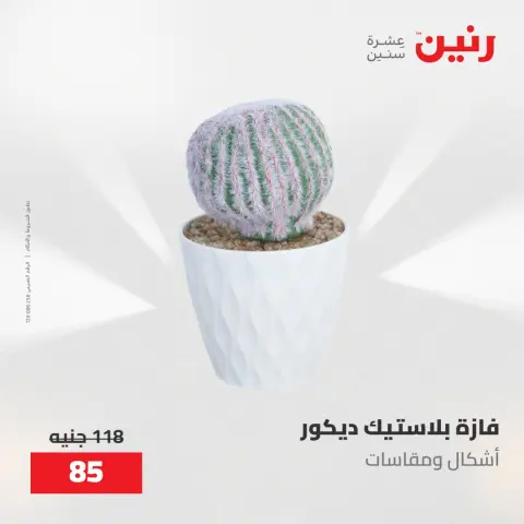 عروض رنين من ١٩ حتى ٢٠ مايو ٢٠٢٦ عروض هدايا وديكورات - صفحة 62