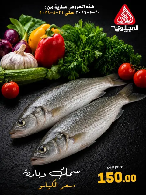 El Mahlawy market offers from 20 to 21 May 2026 Seafood Festival Offers - Page 6