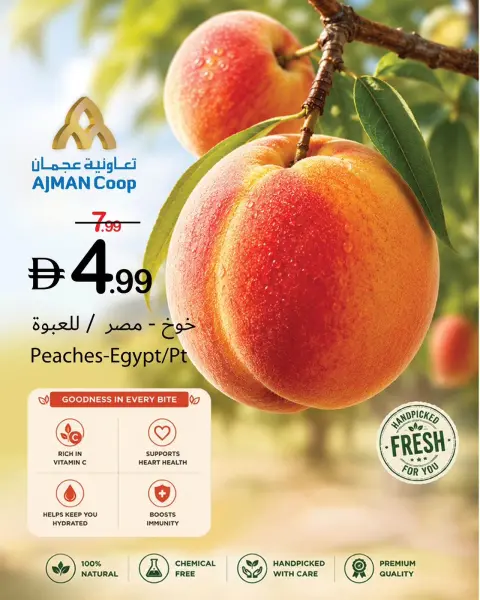 Ajman Coop offers from 21 to 27 May 2026 Eid Al Adha Offers - Page 9