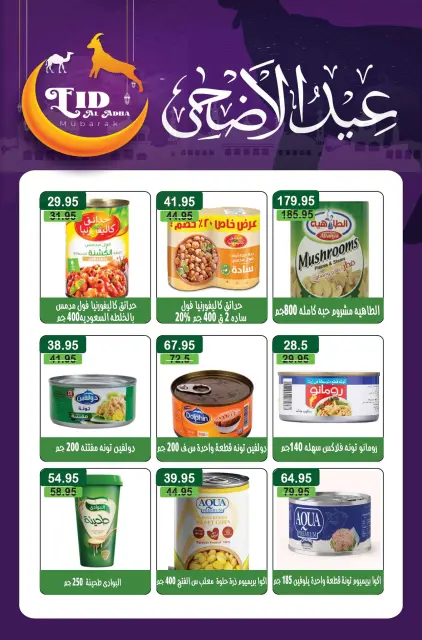 عروض مكاوى ماركت مصر من ٢٠ مايو حتى ١٠ يونيو ٢٠٢٦ عروض عيد الأضحى - صفحة 14
