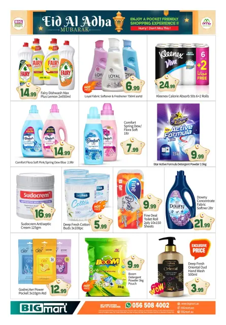 BIGmart offers in Abu Dhabi from 22 to 27 May 2026 Eid Mubarak Offers - Page 16