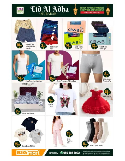 BIGmart offers in Bada Zayed from 22 to 31 May 2026 Eid Mubarak Offers - Page 10