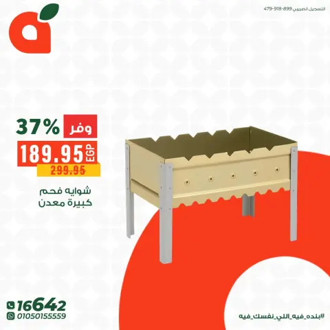 Panda Egypt offers from 25 to 31 May 2026 Barbecue Offers - Page 2