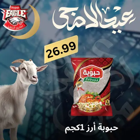 Hyper Al Nisr Egypt offers from 25 to 30 May 2026 Eid Al Adha offers - Page 28