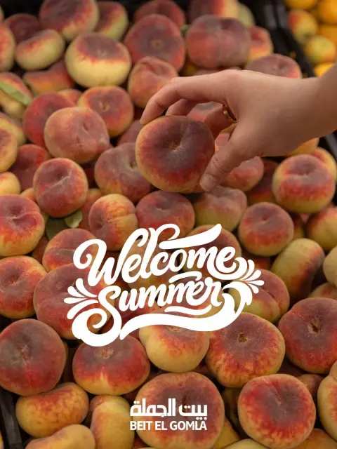 Gomla House offers from 1 to 14 June 2026 Welcome Summer Deals - Page 1