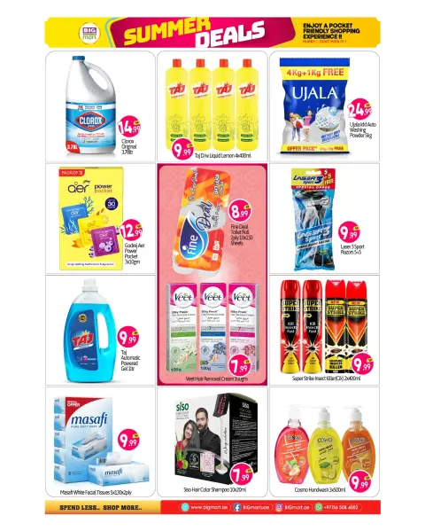 BIGmart offers in Almsfh, Bada Zayed from 4 to 7 June 2026 Summer Deals - Page 10
