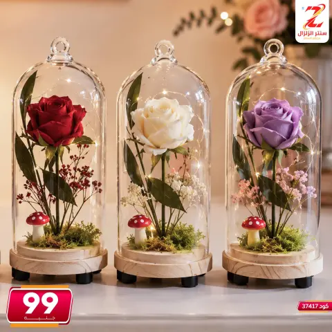 Center El Zelzal Egypt offers from 5 to 11 June 2026 Decorative pieces offers - Page 19