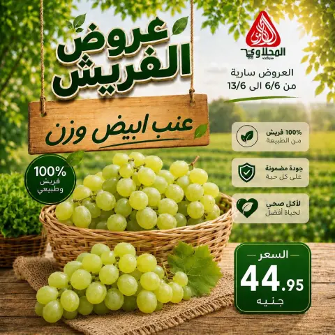 El Mahlawy market offers from 6 to 13 June 2026 Fresh deals - Page 11