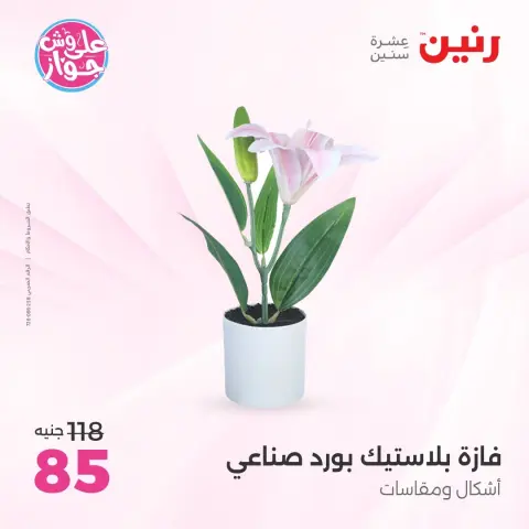 Raneen offers from 11 to 13 June 2026 Gifts and Decorations Offers - Page 61