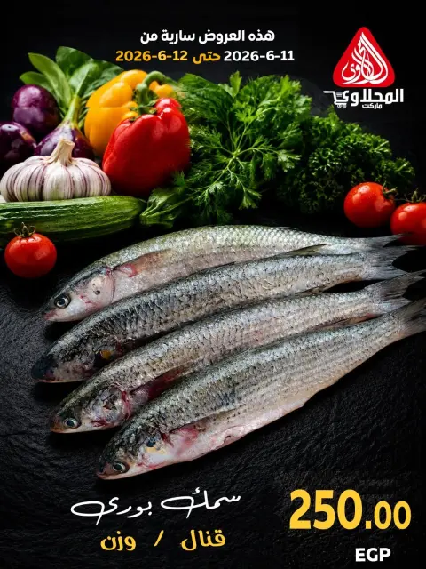 عروض المحلاوى ماركت من ١١ حتى ١٢ يونيو ٢٠٢٦ مهرجان الأسماك - صفحة 4