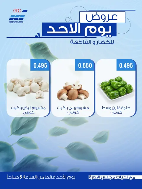 عروض جمعية حطين التعاونية من ١٤ حتى ١٥ يونيو ٢٠٢٦ عروض الخضار والفاكهة - صفحة 2
